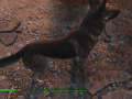 Fallout4 2015-11-10 22-52-43-37.png